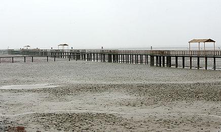 EA CEO去年被减薪2000万美元 但收入仍然很高